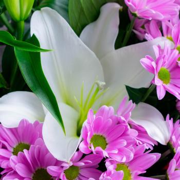 5 лилий и 7 фиолетовых хризантемы