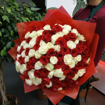 Букет из 101 розы (красные и белые розы) артикул: 119630